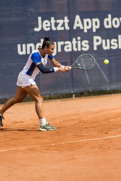 Bild 195 - BL DTV Hannover - BW Dresden Blasewitz : Ergebnis: 2:7